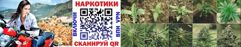 Купить закладку Кольчугино Альфа ПВП  Гашиш  KRAKEN ССЫЛКА  COCAIN 