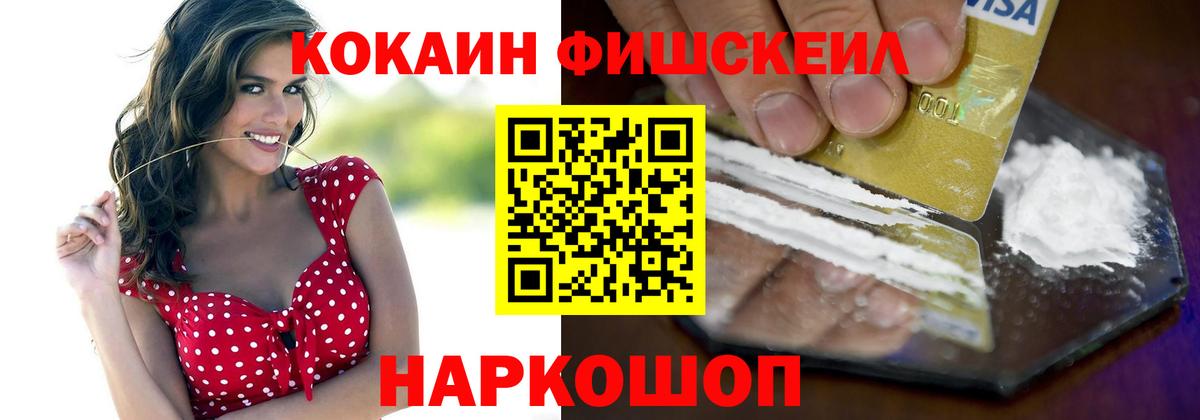 Cocaine Fish Scale Кольчугино