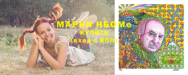 шишки Краснотурьинск