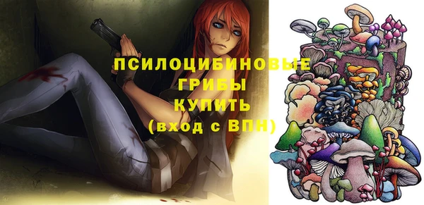 шишки Новый Уренгой