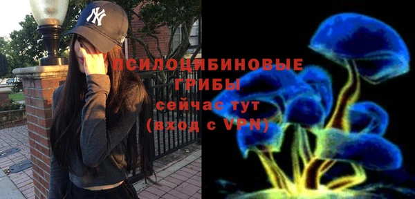 хмурый Долгопрудный