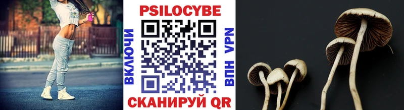 Псилоцибиновые грибы GOLDEN TEACHER  Кольчугино 