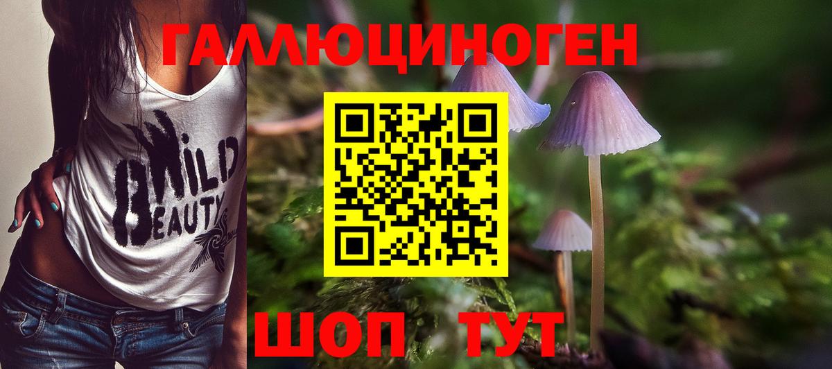 Галлюциногенные грибы Magic Shrooms  Вход с VPN  Кольчугино 